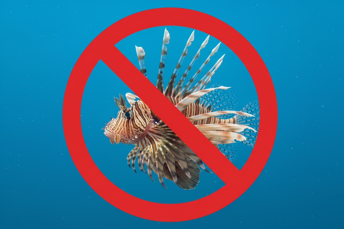 overlay a not sign